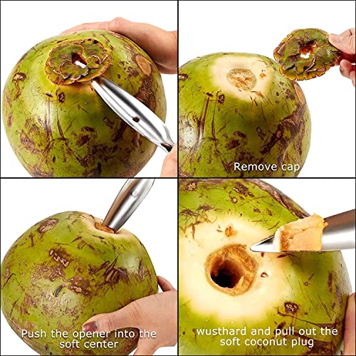 TASKHOUSE Coconut Opener Tool Stainless Steel Punch Drill Tap with Straw Coconut Water Opener Cutter - Image 3