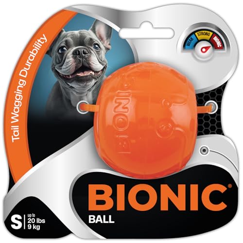 BIONIC Ball Dog Toy Small Interactive Dog Chew Toy That Stands Up to The Toughest Chewers for Dogs up to 20 lbs 9 kg - Image 1