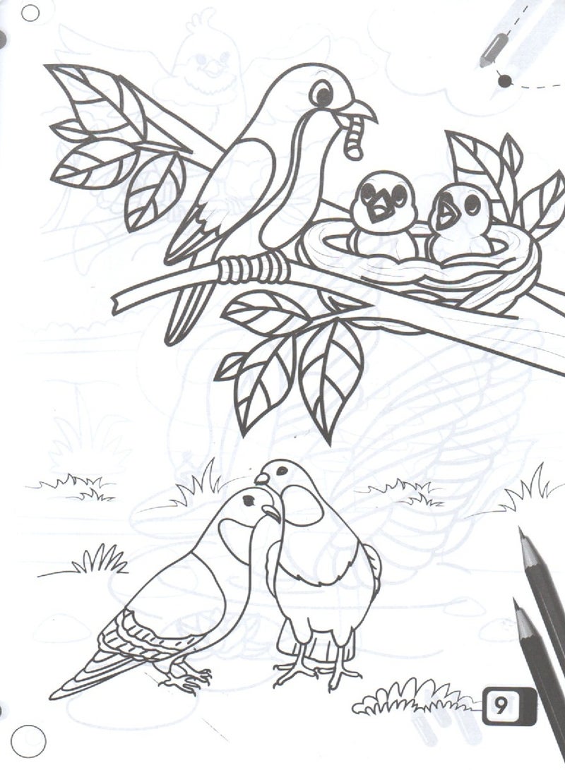 A Set Of Coloring Books About Birds And Vegetables And Fruits  - Image 3