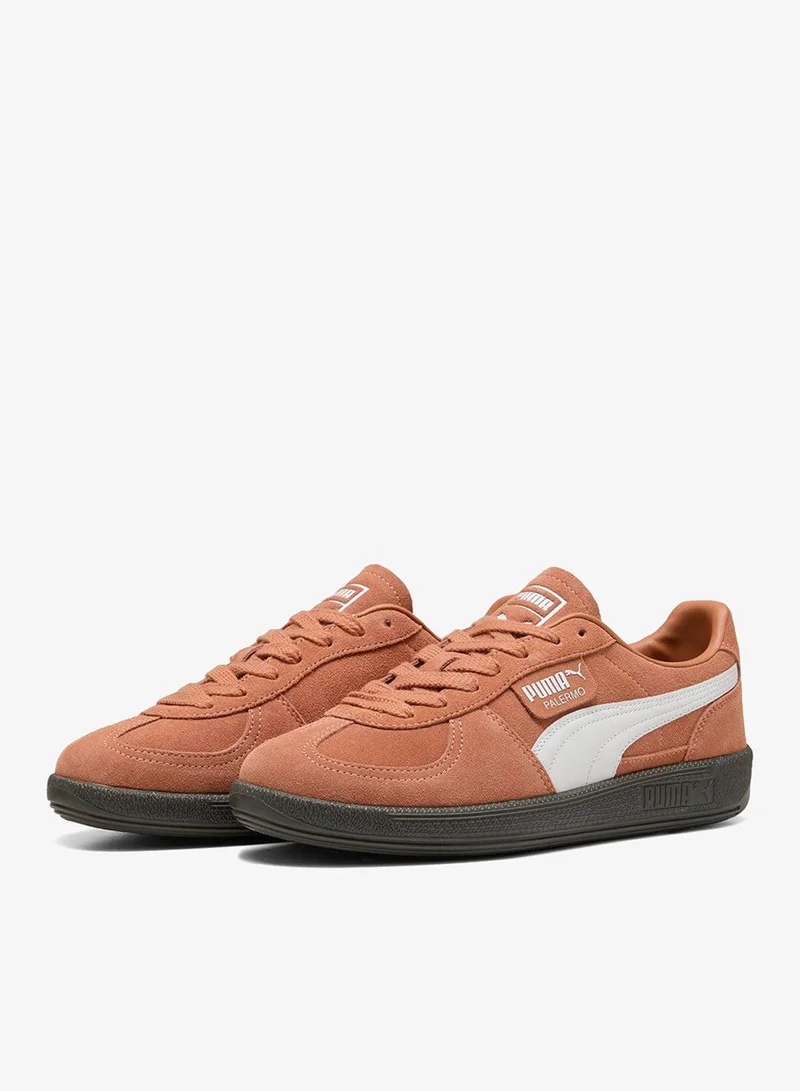 Puma Cinnabar-PUMA White Palermo for Men | Best Price UAE