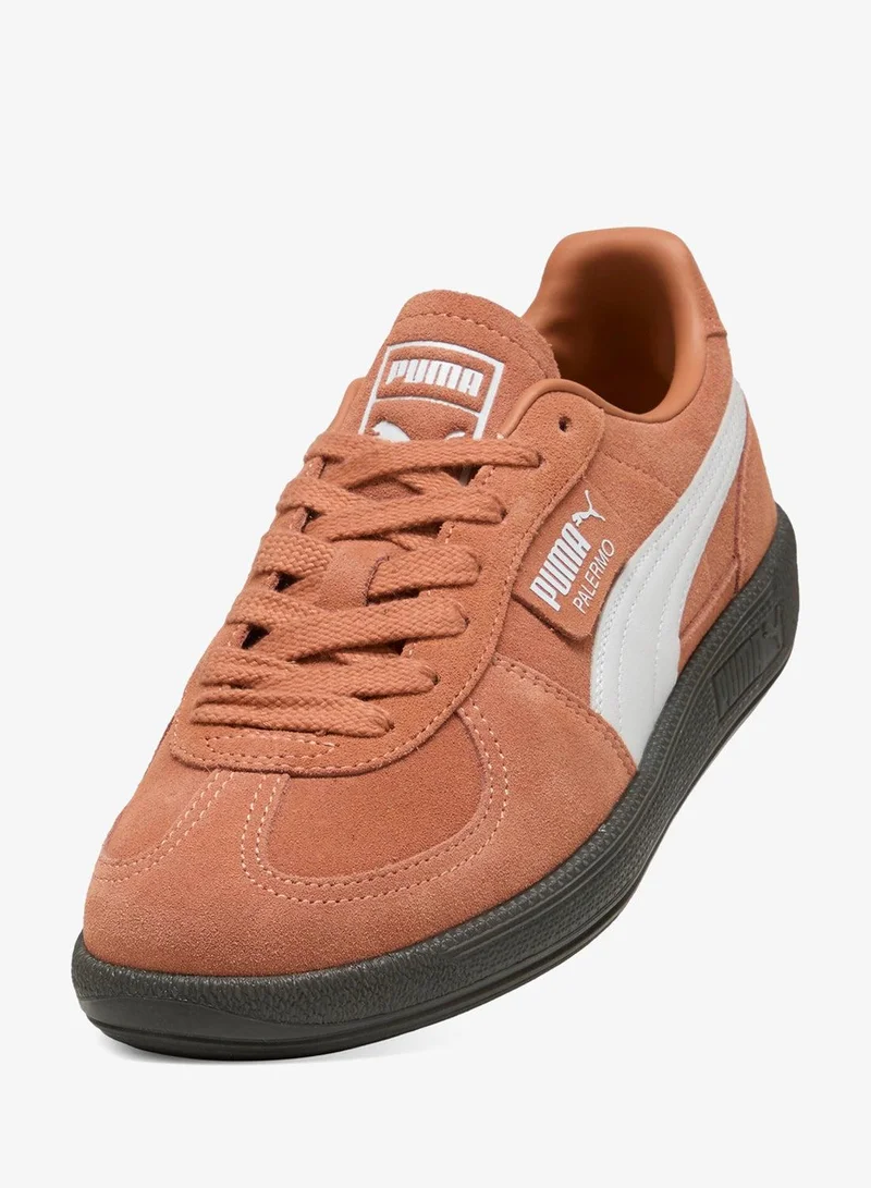 Puma Cinnabar-PUMA White Palermo for Men | Best Price UAE
