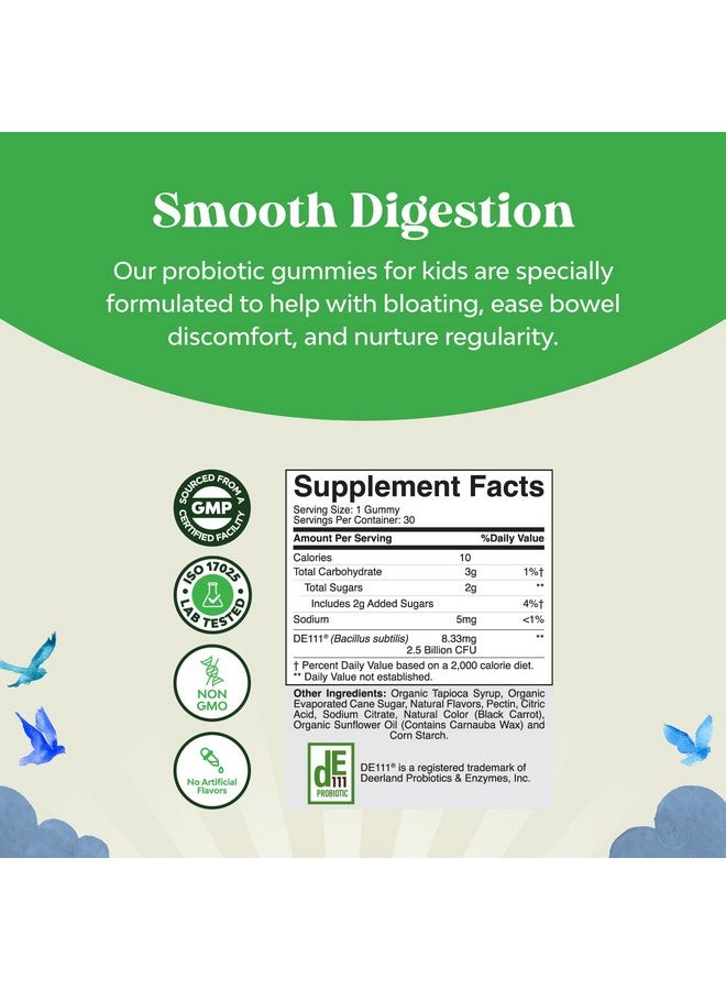 Natures Craft Immune Booster Kids Probiotic Gummies - Bacillus Subtilis Probiotic for Kids Upset Stomach Body Cleanse Immune Boost and Colon Detox - Constipation Relief and Digestive Health Kids Vitamins Gummy - Image 2