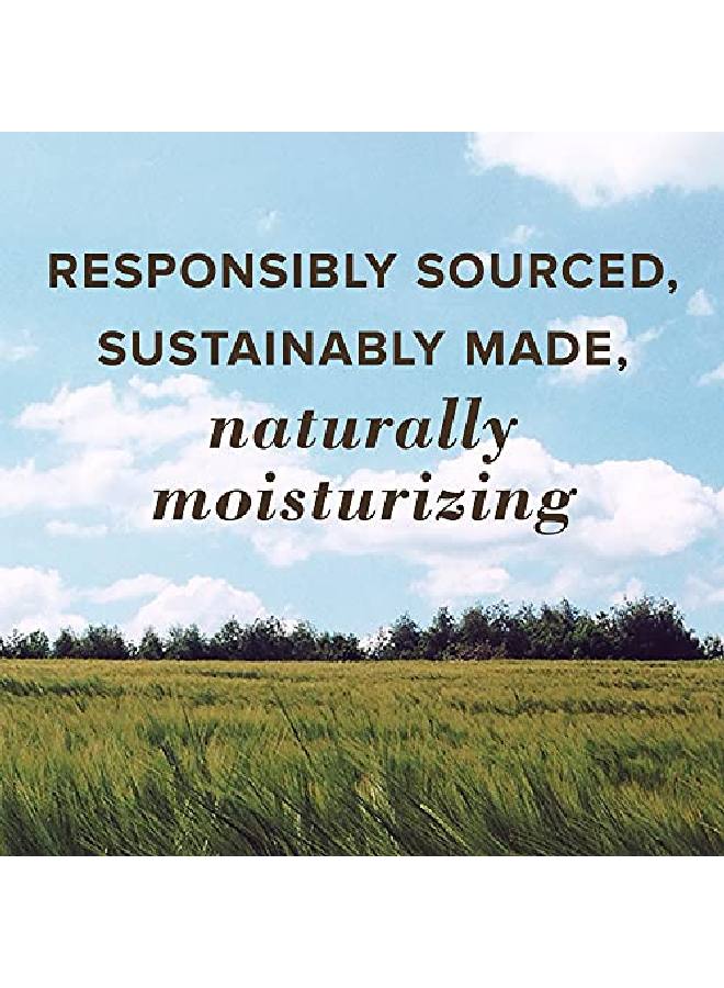 Burt's Bees 100% Natural Origin Moisturizing Lip Balm Watermelon 1 Tube - Image 5