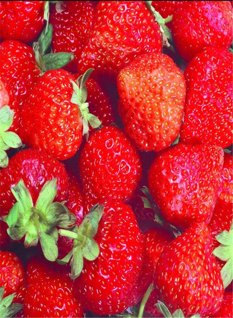 GGOOT Imported Strawberry Seeds Outdoor Herb Seeds Home Collection Gift/Enjoy Achievements of Planting/Fruit Seeds UK-300 Pcs - Image 1