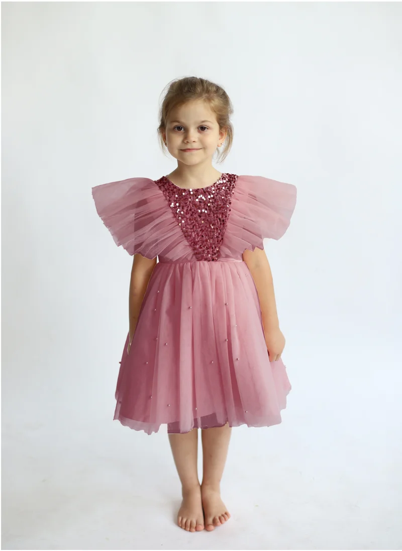 D'Daniela Butterfly Sequined Powder Pink Dress