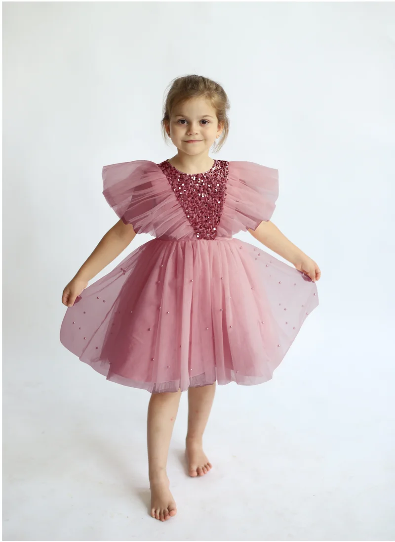 D'Daniela Butterfly Sequined Powder Pink Dress