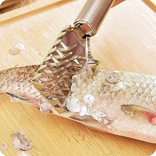 SPHP Fish Scaler/Fish Scale Remover/Fish Scale Scraper/Fish Cleaning Tool Pack of 1 Pieces, Metallic (1) - Image 3
