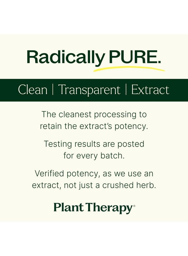 Plant Therapy Tart Cherry Capsules with Elderberry Manufactured in USA 4 Month Supply Supports The Body, Immune System & Sleep Cycle Supplements for Women & Men 120 Vegetarian Capsule - Image 5