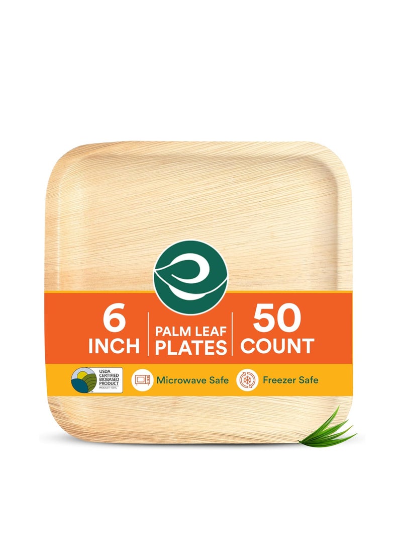ECO SOUL Compostable Palm Leaf Plates -Square 6 inch - Image 1