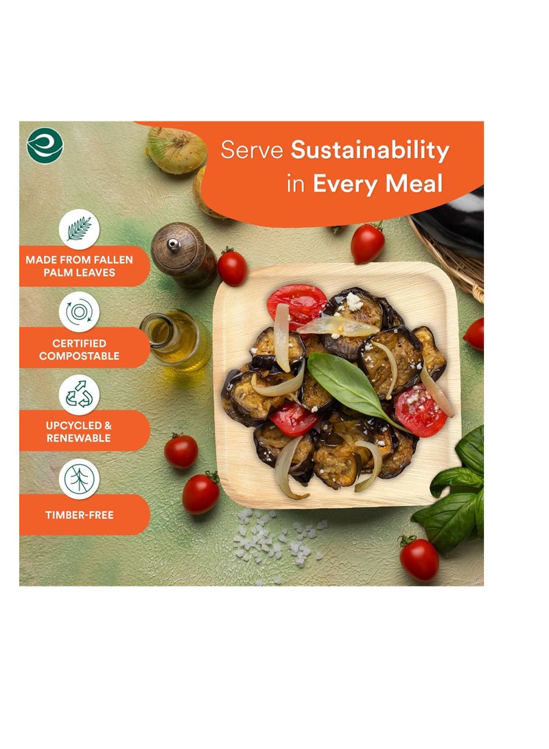 ECO SOUL Compostable Palm Leaf Plates -Square 6 inch - Image 2