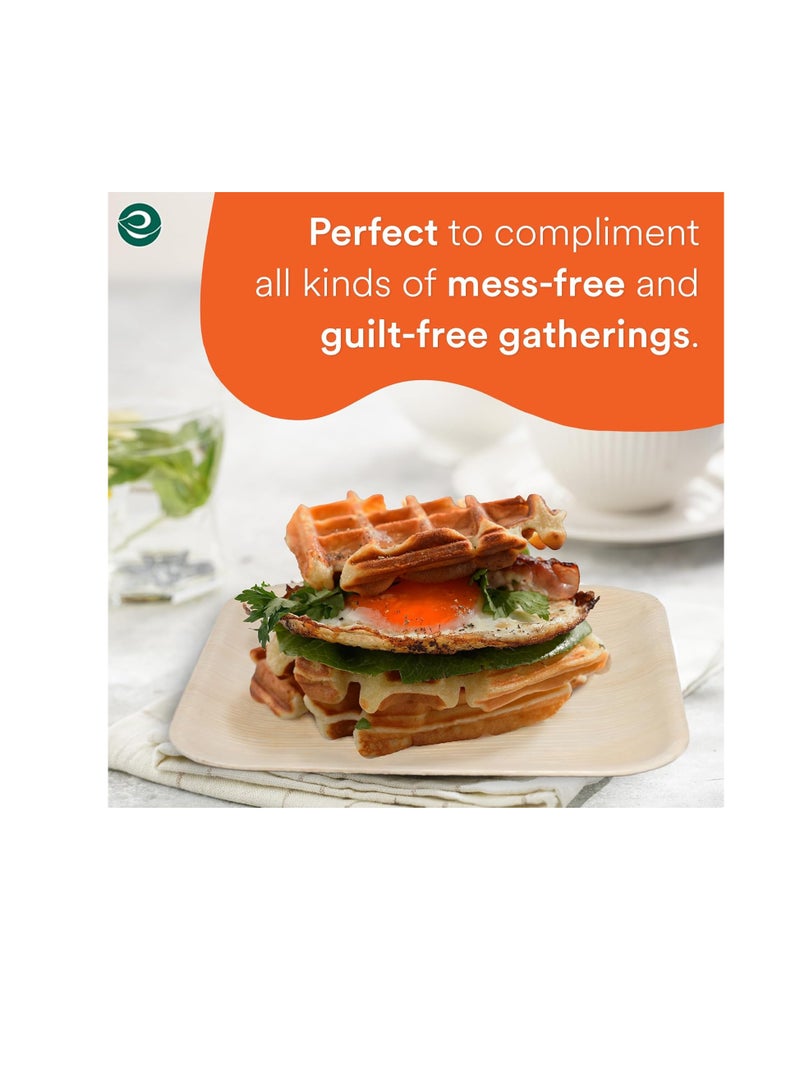 ECO SOUL Compostable Palm Leaf Plates -Square 6 inch - Image 5