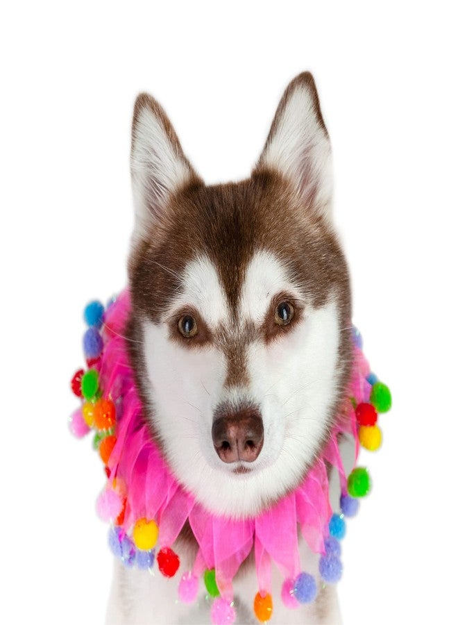 Midlee Pink Birthday Pom Pom Dog Collar (Small) - Image 3