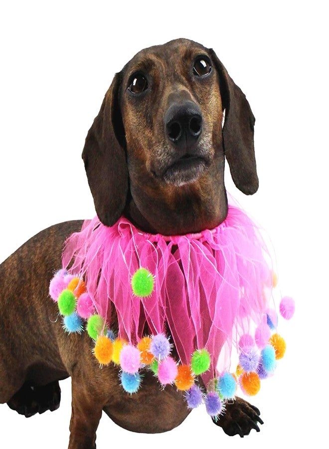 Midlee Pink Birthday Pom Pom Dog Collar (Small) - Image 1