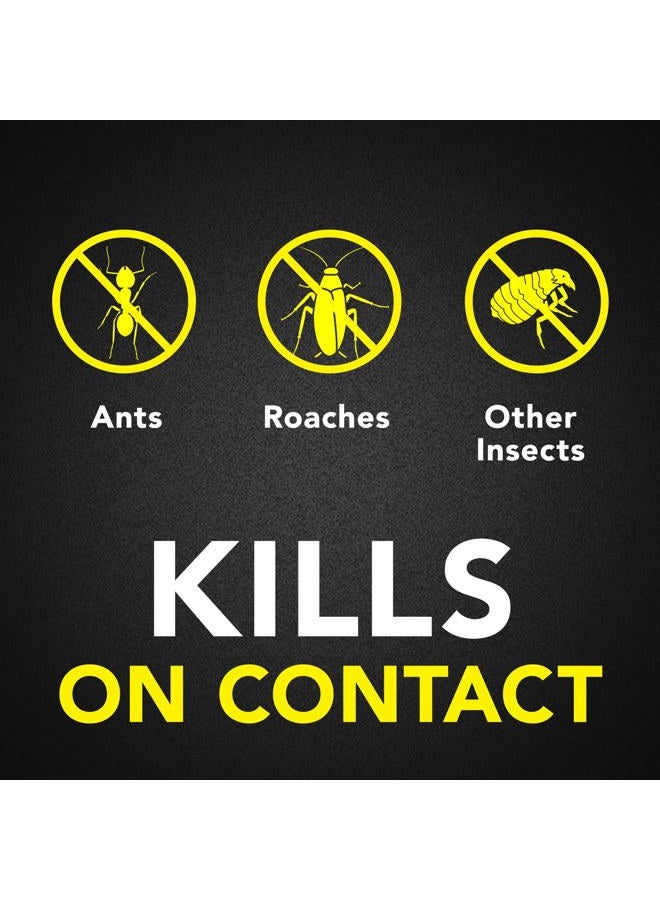 RAID ® Ant & Roach Killer Spray, Fragrance-Free, 17.5 Oz, Pack Of 2 - Image 2