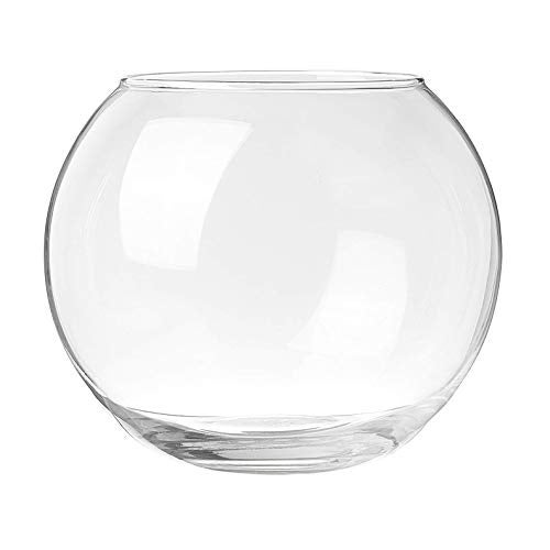Incrizma Terarium Glass Bubble Bowl, Fish Bowl, Rose Bowl - Glass Round Vase for Weddings, Events, Decorating, Arrangements for Office or Home Decor (Dia - 20 CM) - Image 4