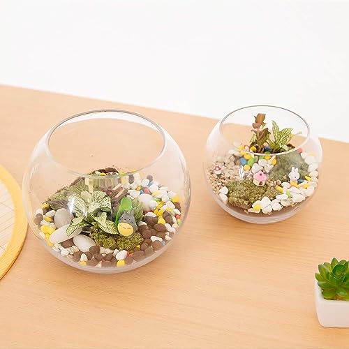 Incrizma Terarium Glass Bubble Bowl, Fish Bowl, Rose Bowl - Glass Round Vase for Weddings, Events, Decorating, Arrangements for Office or Home Decor (Dia - 20 CM) - Image 5
