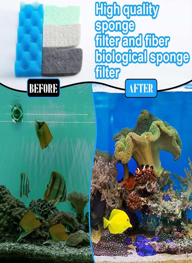 Threlaco مجموعة وسائط ترشيح بديلة لأحواض السمك من ثريلاكو، 20 قطعة، متوافقة مع فلاتر فلوفال 306/307، تتضمن قطعتين من الرغوة البيولوجية، و6 مزيلات للأمونيا، و6 مزيلات للفوسفات، و6 مزيلات للنتريت. - Image 3