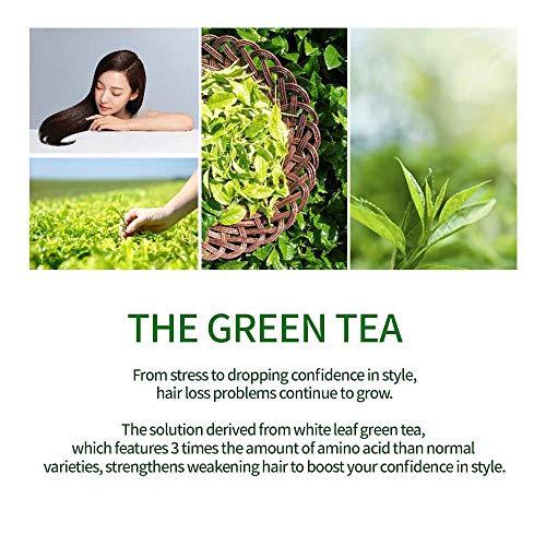 AMOS PROFESSIONAL The Green Tea Pack 8.45 oz (250ml) | Nourishing and Moisturizing Deep Conditioner for Hair Growth | Korean Hair Salon Brand - Image 4