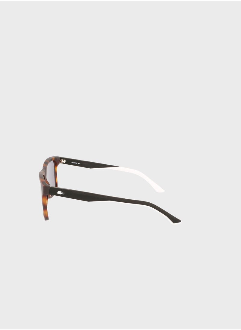 L972S-230 Wayfarers Sunglasses - pzsku/Z796EAC85C8371147E208Z/45/_/1698935305/e1da3a9a-ba20-4a6d-bc57-1e308d01af7c