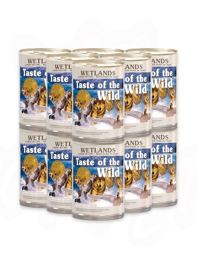 Wetlands Canine Gravy Dog Food - 390G(Pack Of 12)