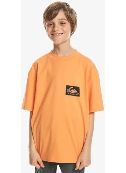 كويك سيلفر Back Flash Boy T-Shirt 8-16 Years Eqbzt04706