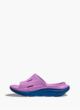 Purple/Blue