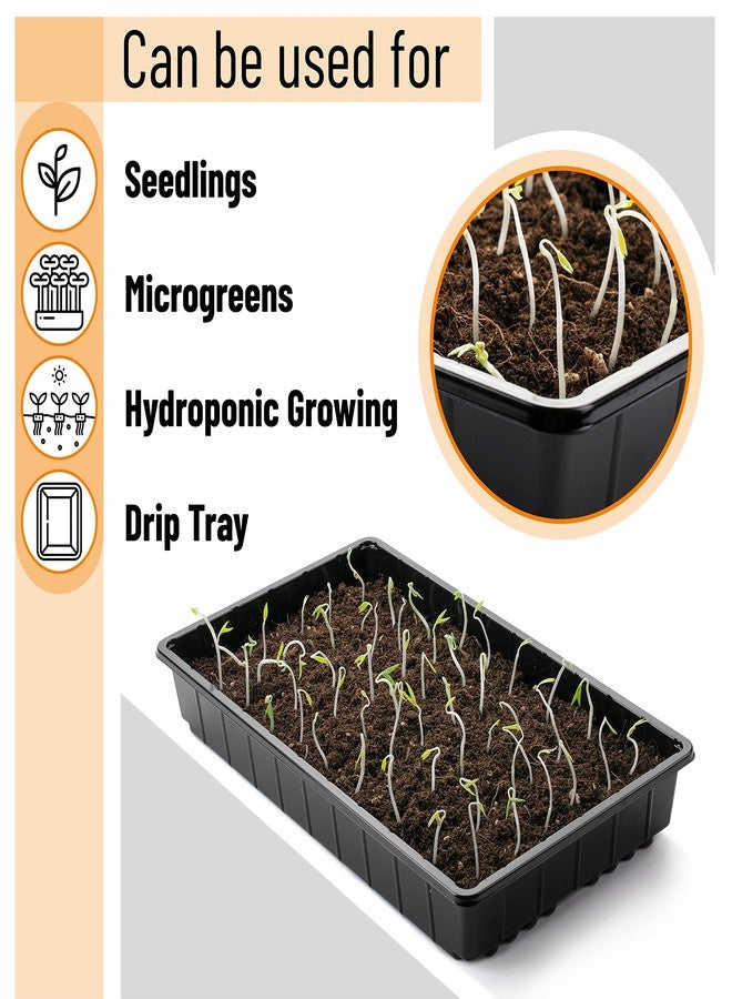 Mr. Pen- Plastic Growing Trays, 5Pack, Black, 17x10, Plant Tray, Seed Tray, Seedling Tray, Propagation Tray, Plant Trays for Seedlings, Planting Trays, Microgreens Growing Trays, Seedling Starter Tray - Image 5