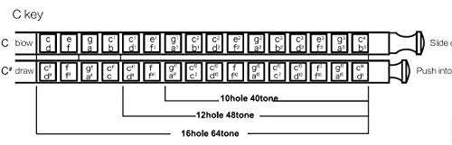 East top 16 Holes 64 Tonse Chromatic Harmonica Key of C, Chromatic Mouth Organ Harmonica for Adults, Professionals and Students (SR) - Image 5