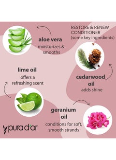 Pura d'or Restore & Renew Shampoo And Conditioner Set For Strong Healthy And Nourished Hair With Organic Aloe Vera Rosemary Oil Sea Buckthorn Cacay Oil Coconut Oil Seaberry Oil & Cedarwood Oil  - Image 3
