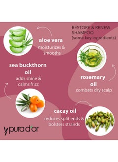 Pura d'or Restore & Renew Shampoo And Conditioner Set For Strong Healthy And Nourished Hair With Organic Aloe Vera Rosemary Oil Sea Buckthorn Cacay Oil Coconut Oil Seaberry Oil & Cedarwood Oil  - Image 2