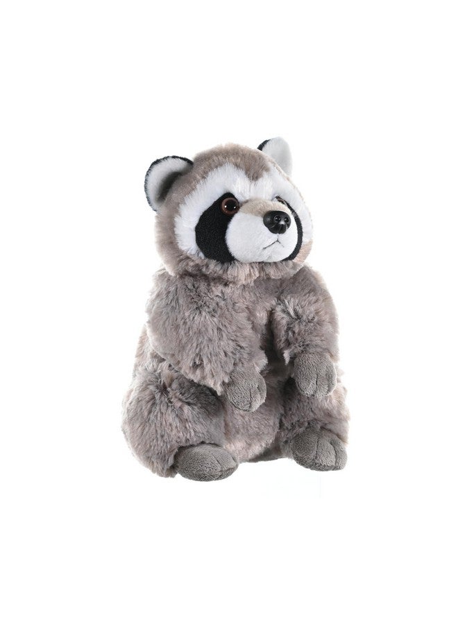 Wild Republic Raccoon Plush, Stuffed Animal, Plush Toy, Gifts for Kids, Cuddlekins 12 Inches - Image 1