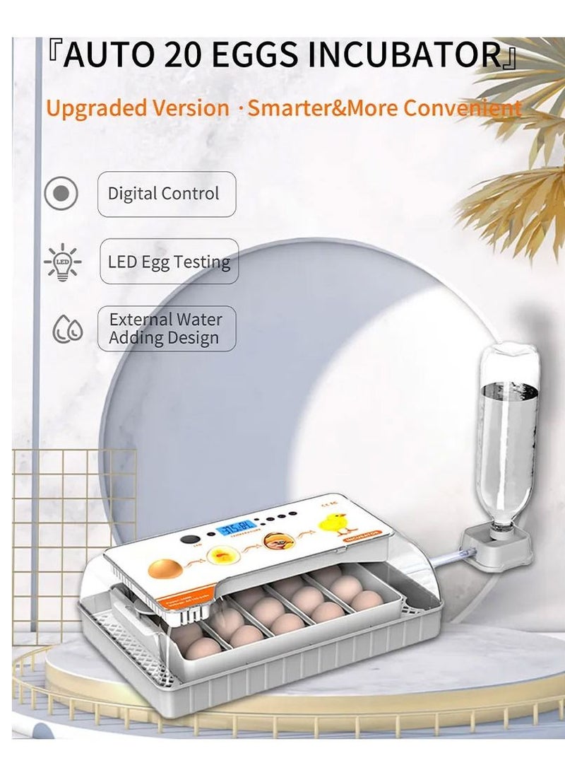 MARGOUN - Chicken Egg Incubator for Hatching 20 Eggs Automatic Water Adding Egg Candler for Hatching Chicken Duck Quail Bird Eggs - Image 1