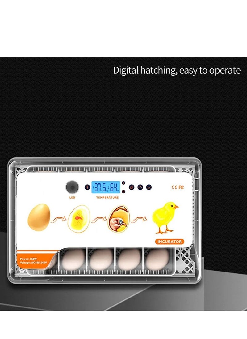 MARGOUN - Chicken Egg Incubator for Hatching 20 Eggs Automatic Water Adding Egg Candler for Hatching Chicken Duck Quail Bird Eggs - Image 1