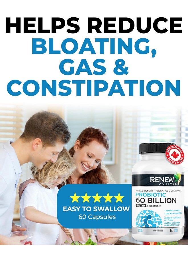 Renew Actives Probiotic Supplement for Digestive Health 60 Billion CFU per 2 Capsules - Advanced Formula with Prebiotic Benefits - Supports Gut Flora Balance & Wellness - Made in Canada - 60 Capsules - Image 3