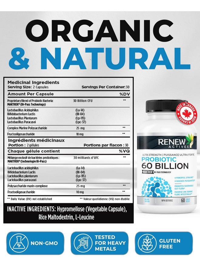 Renew Actives Probiotic Supplement for Digestive Health 60 Billion CFU per 2 Capsules - Advanced Formula with Prebiotic Benefits - Supports Gut Flora Balance & Wellness - Made in Canada - 60 Capsules - Image 4