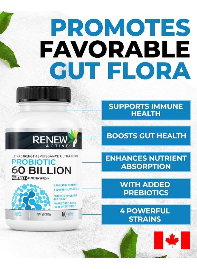 Renew Actives Probiotic Supplement for Digestive Health 60 Billion CFU per 2 Capsules - Advanced Formula with Prebiotic Benefits - Supports Gut Flora Balance & Wellness - Made in Canada - 60 Capsules - Image 2