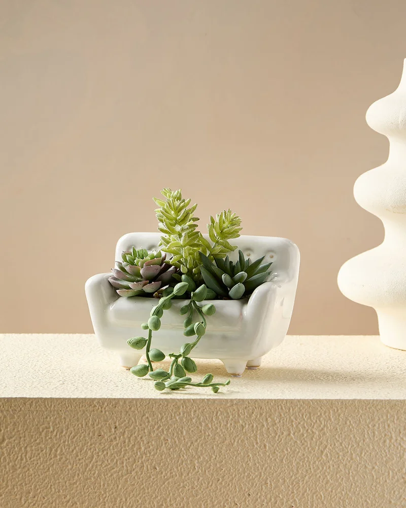 REDTAG Green Succulent In Sofa Pot
