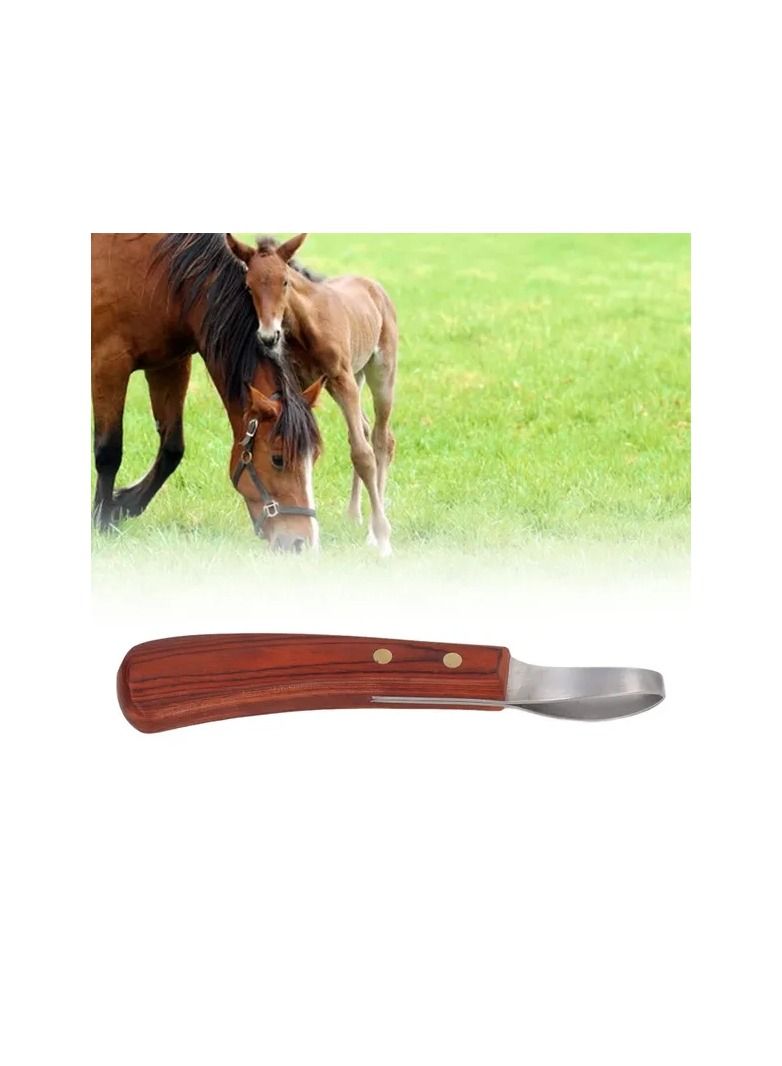 Generic 1-Piece Professional Multipurpose Cattle Horse Hoof Cutter,Stainless Steel Blade Rubber Wood Handle Hoof Trimmer Shears - Image 2