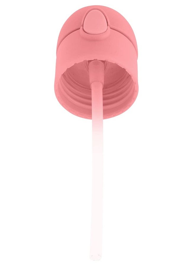 Stephen Joseph زجاجات ستيفن جوزيف مزدوجة الجدار من الفولاذ المقاوم للصدأ، زجاجة ماء معزولة للأطفال، زجاجة معزولة بتقنية الفراغ مع قشة، زجاجة ماء خالية من BPA - 11.8 أونصة، مزهرة، (SJ1212) - Image 4