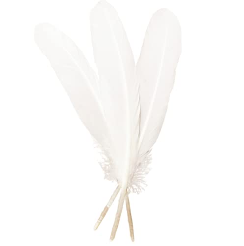 XKTEI 50pcs White Feathers 8~10 in,Beautiful Bulk Long Feather for Crafts（21-25CM）,Big Size Bilateral Natural Goose Feather,for Wedding Dress and Party Decoration,DIY Fabricating Handicraft Article(White) - Image 1
