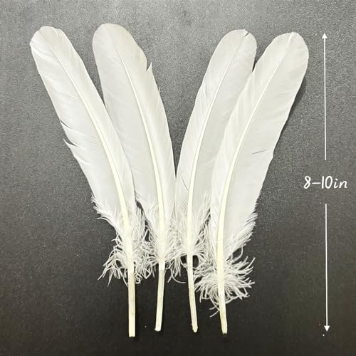 XKTEI 50pcs White Feathers 8~10 in,Beautiful Bulk Long Feather for Crafts（21-25CM）,Big Size Bilateral Natural Goose Feather,for Wedding Dress and Party Decoration,DIY Fabricating Handicraft Article(White) - Image 5