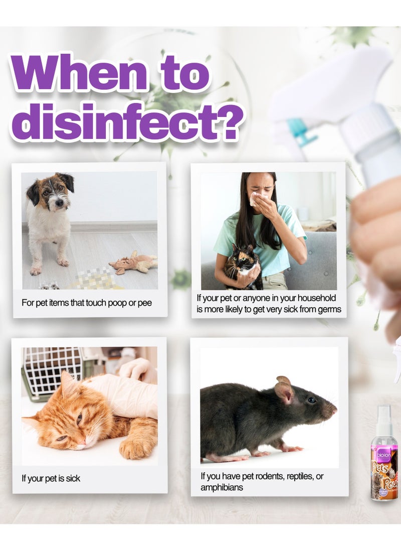 bioion - Pets Pounce Sanitizer - Pet Paw, Fur, Ear Cleaner, Safe for Pets - Plant Based, Non-Alcoholic - Sakura Fragrance - 60ml Cat - Image 1