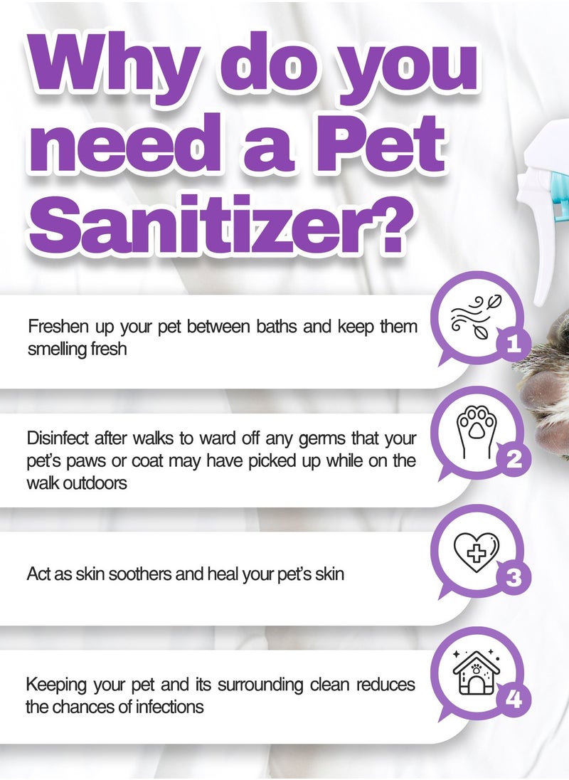bioion - Pets Pounce Sanitizer - Pet Paw, Fur, Ear Cleaner, Safe for Pets - Plant Based, Non-Alcoholic - Sakura Fragrance - 60ml Cat - Image 1