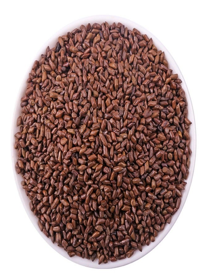 MIHUNTANG Cassia Seed Tea 17.63 oz Jue Ming Zi Cooked Cassia Seeds Cassia Angustifolia Tea Cassia Seed Tea cooked frying 熟决明子茶 500g - Image 3