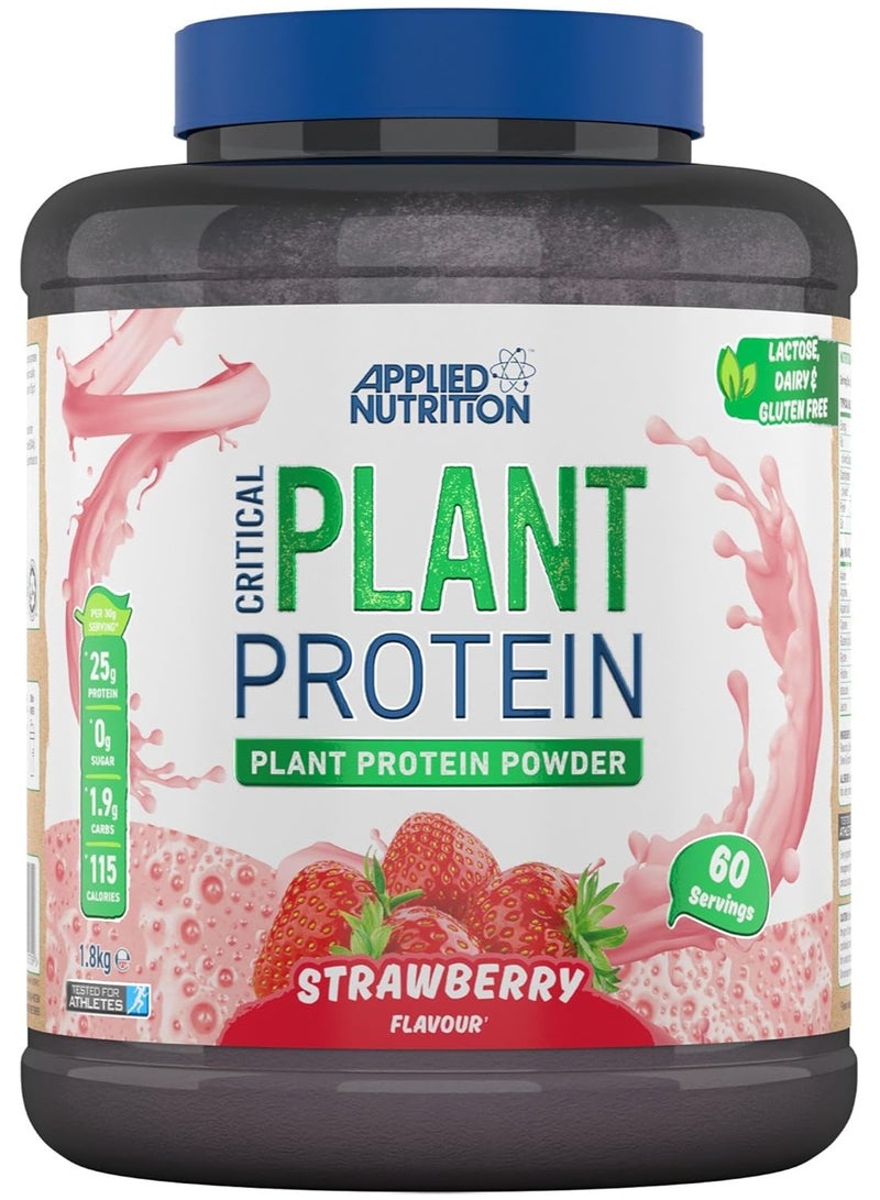 Applied Nutrition Critical Plant Vegan Protein Powder Strawberry Flavour 60 Servings 1.8 kg - Image 1