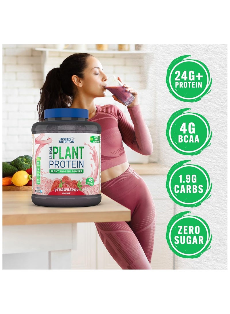 Applied Nutrition Critical Plant Vegan Protein Powder Strawberry Flavour 60 Servings 1.8 kg - Image 3