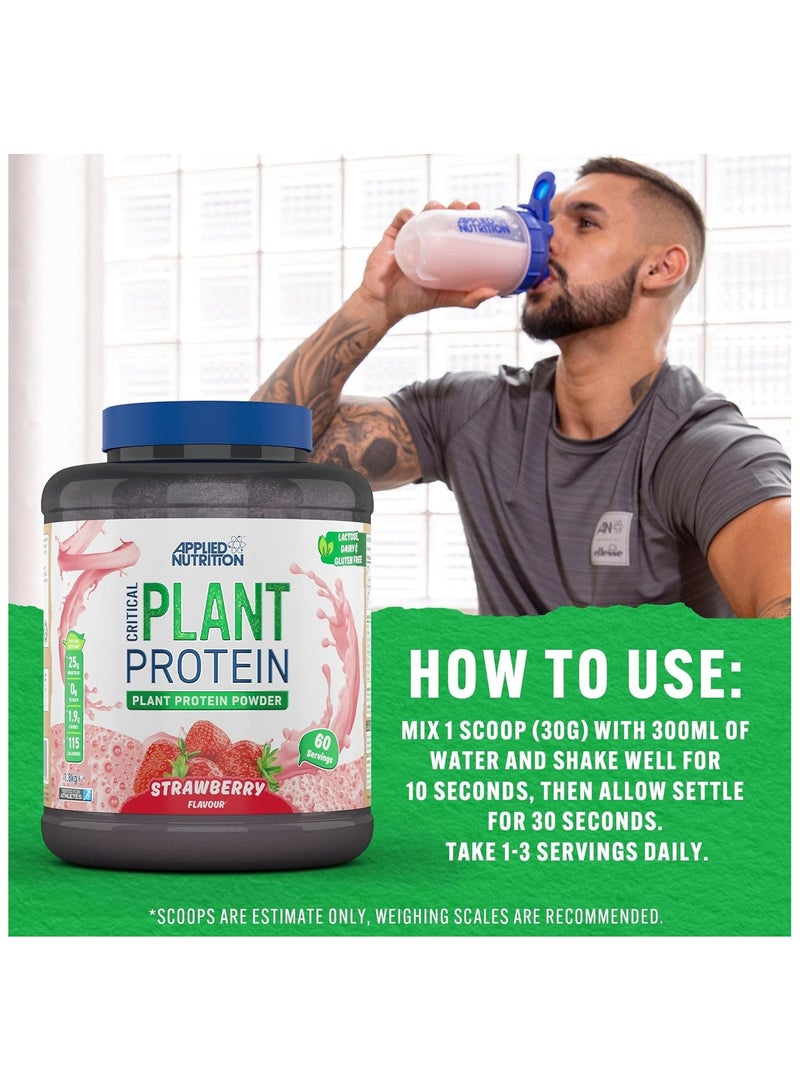 Applied Nutrition Critical Plant Vegan Protein Powder Strawberry Flavour 60 Servings 1.8 kg - Image 5