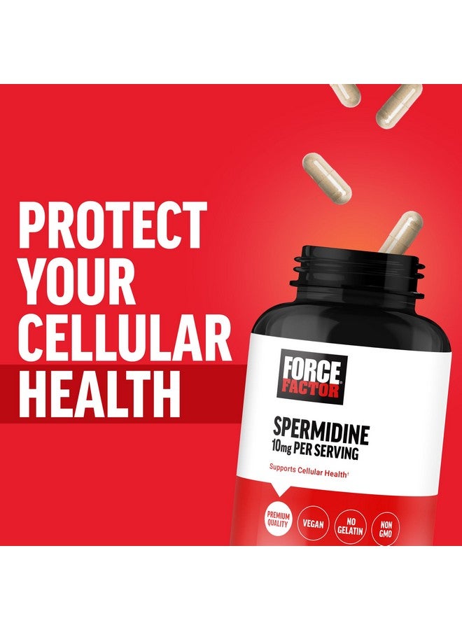 فوريس فاكتور مكملات سبيرميدين FORCE FACTOR للنساء والرجال، مكمل مضاد للأكسدة لإطالة العمر وصحة الخلايا، نباتي، بدون جيلاتين، غير معدّل وراثيًا، 120 كبسولة - Image 5