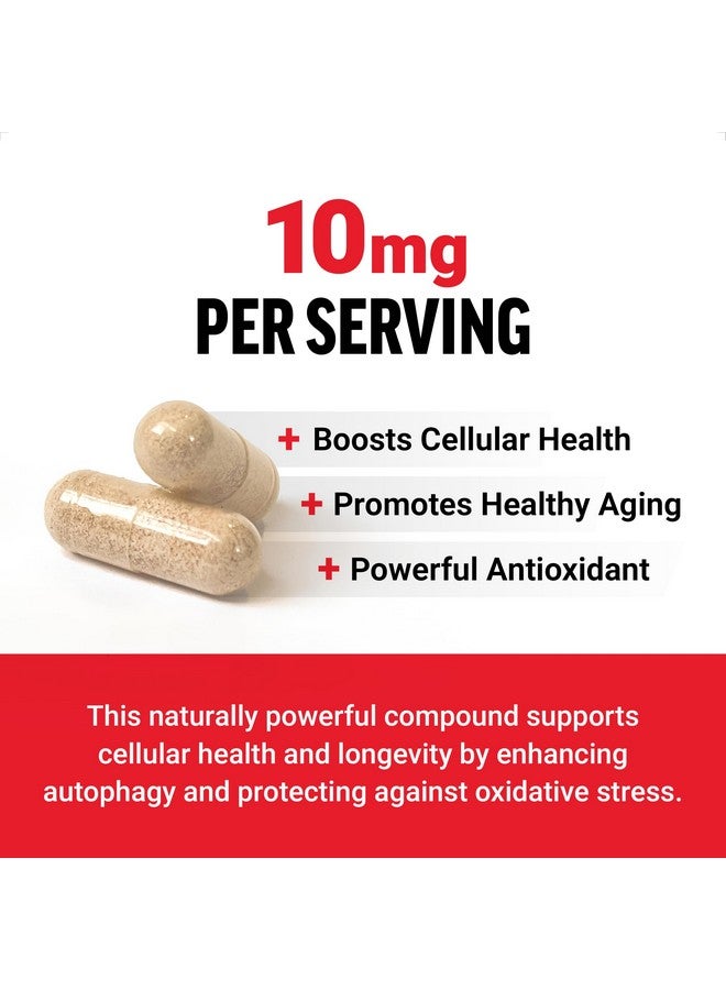 فوريس فاكتور مكملات سبيرميدين FORCE FACTOR للنساء والرجال، مكمل مضاد للأكسدة لإطالة العمر وصحة الخلايا، نباتي، بدون جيلاتين، غير معدّل وراثيًا، 120 كبسولة - Image 2