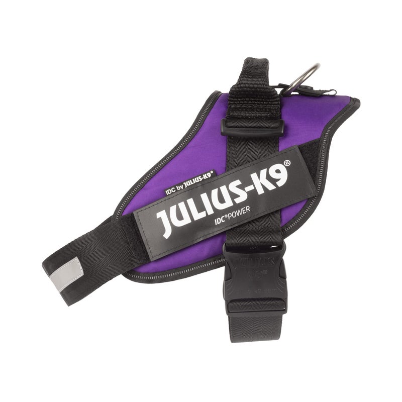JuliusK9 IDC Powerharness Size XL2 Dark Purple